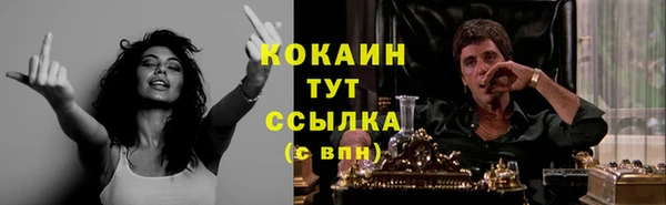 дживик Абаза