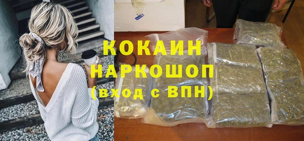 дживик Абаза
