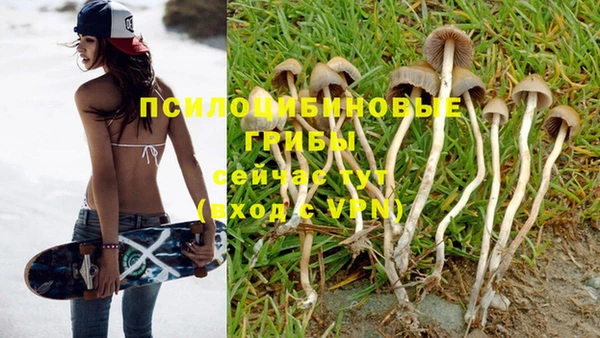 дживик Абаза