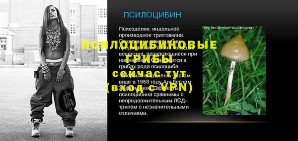 дмт Абинск