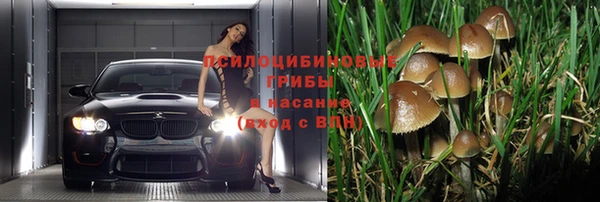 дживик Абаза